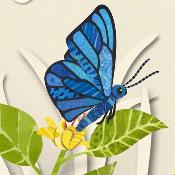 TechwKids's tweet image. Share the wonder of nature with your kids both digitally and for real: TOP NATURE APPS FOR KIDS: techwithkids.com/List_32_top-na… @TheLittleBugApp