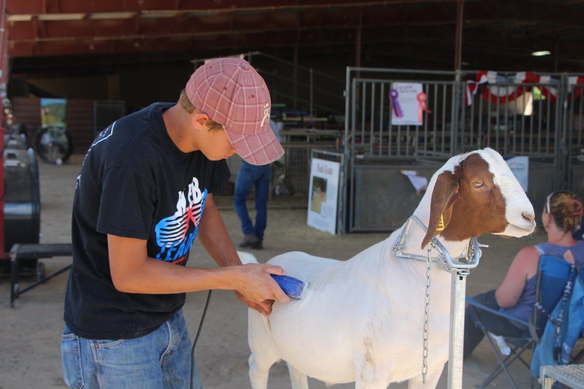 MesaCountyNews's tweet photo. See what happened this week around your #MesaCounty government: https://t.co/tIdj9dgfmP #ShareGJ #GJCO #MESACO #GrandValley #MesaCountyFair https://t.co/DUB0u9PZ9T