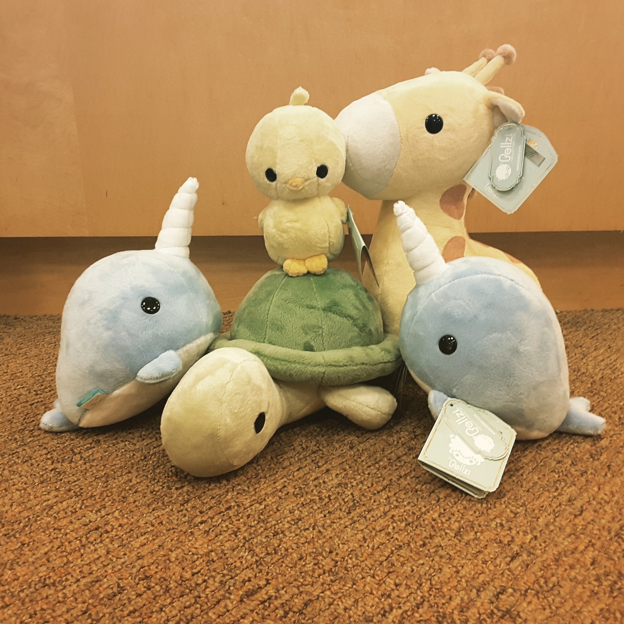 bellzi narwhal