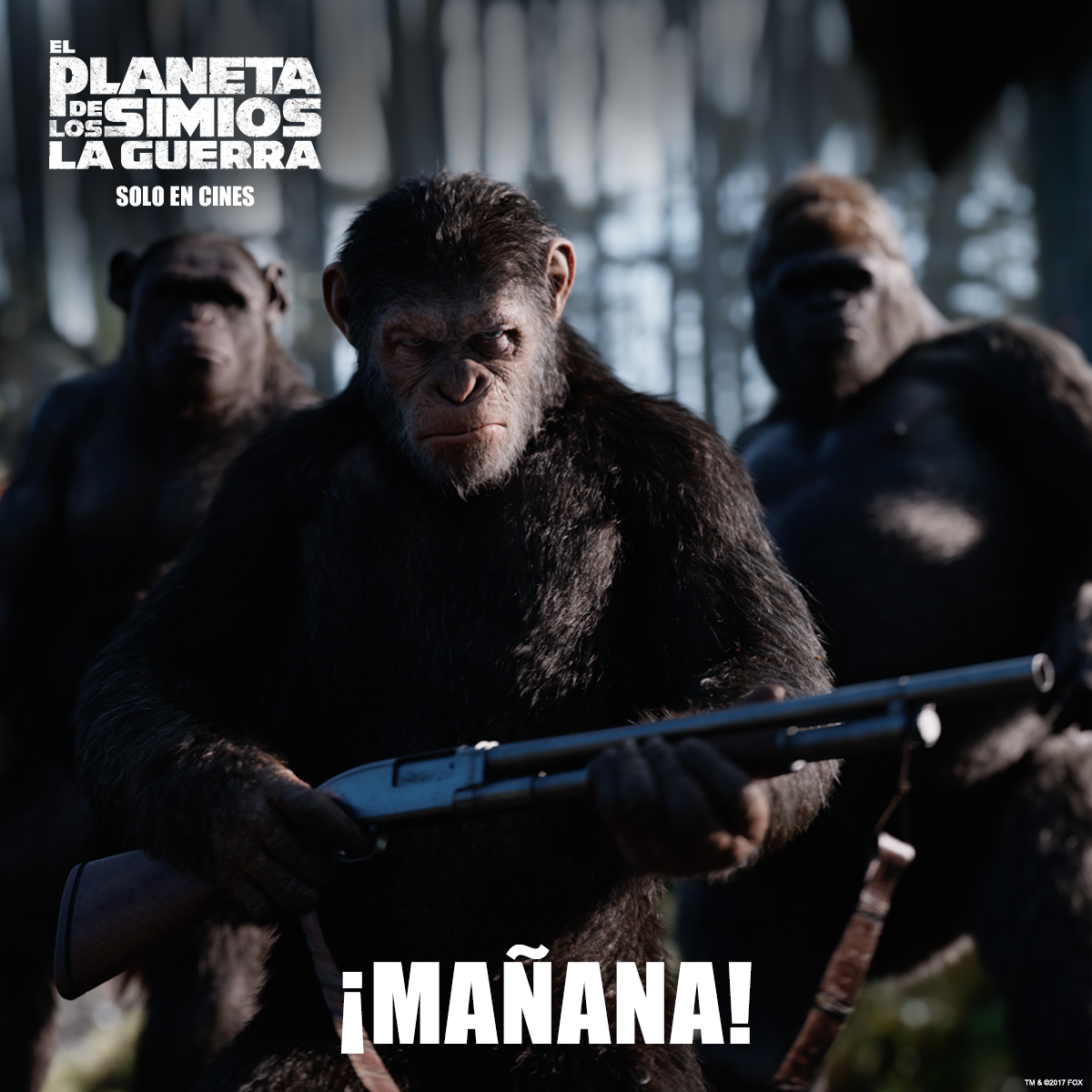 MAXCinemaEC's tweet photo. ¡Mañana gran estreno!
Una terrible guerra está a punto de desatarse.
Disfruta desde mañana #ElPlanetaDeLosSimiosLaGuerra en #Maxcinema. https://t.co/Ta0ebwB3UI