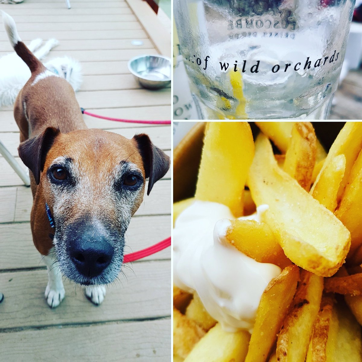 my_foodie_favs's tweet photo. #beachsidegrill Saunton on a gorgeous day, great food, drinks &amp; service #dogsoftwitter #chips #seaside @atasteofdevon @Tasteofthewest #Devon https://t.co/leVWTPPVA7
