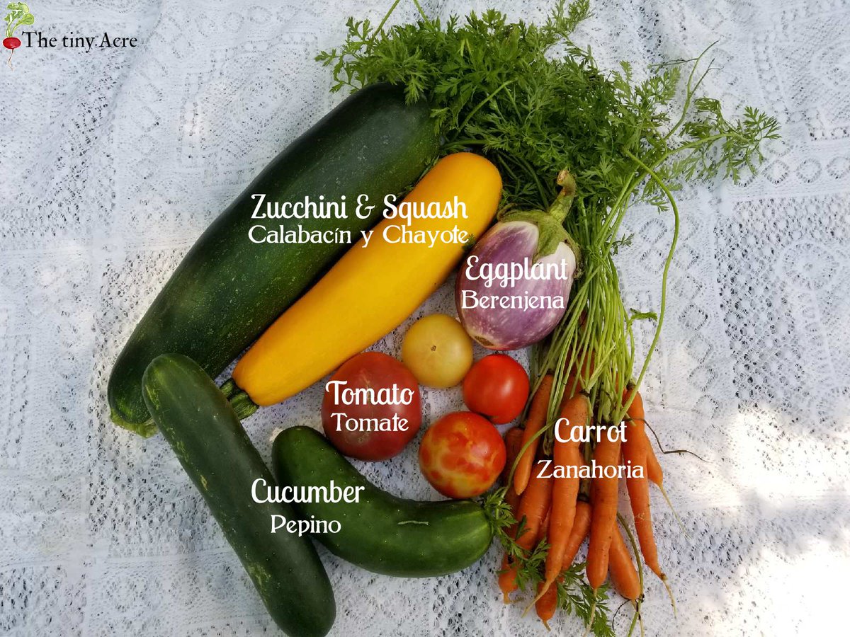 _thetinyacre_'s tweet photo. Week/Semana 9: Half Share/Media Parte #thetinyacre #freshyfresh #muyfresco https://t.co/GF8jGwmqdS