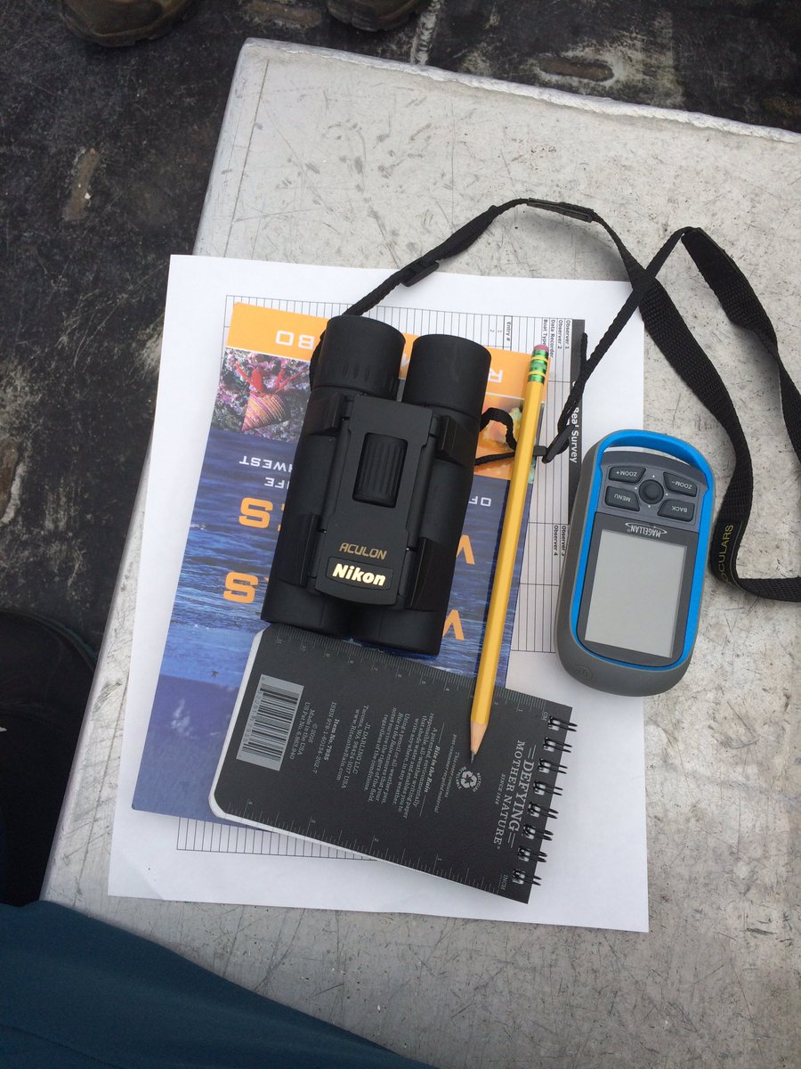 ashkerik's tweet image. Ready to spot some wildlife! #gearedup #bamfieldmsc #smcw2017 #surveymethodsofcoastalwildlife @BamfieldMSC @christy_jam @JasonTFisherLab