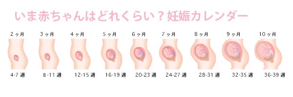 ティーンズママルーム お腹の赤ちゃんはいまどのくらいの大きさ T Co Mu5qrxfzef 妊娠 赤ちゃん 妊娠月 10代ママ T Co Vhbqizwvla Twitter