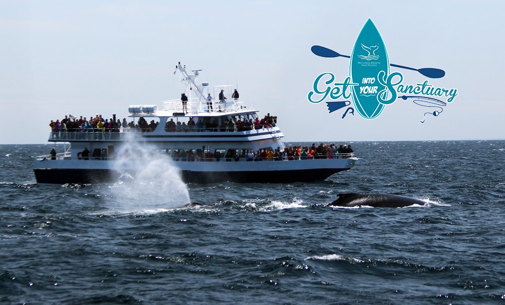 Aug 12-13 is Get Into Your Sanctuary Weekend <a href="/NOAASBNMS/">NOAA Stellwagen Bank NMS</a>. Watch whales. Go fishing. Take photos &amp; enter the GIYS contest.#ILoveMySanctuary