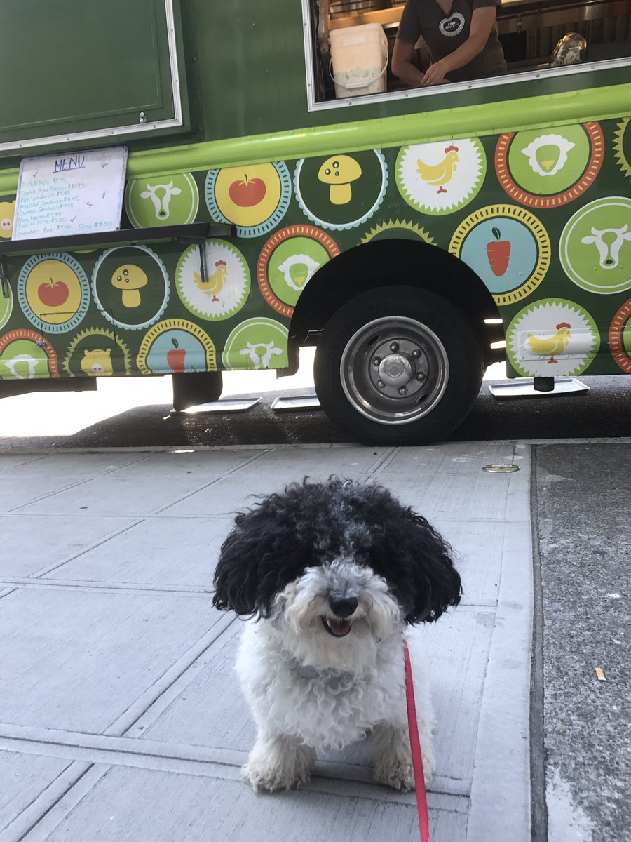 frictionfounder's tweet photo. Buster is enjoying his day at @VulcanInc's bring your dog to work day! #everydayplease https://t.co/cYGXOJmbao