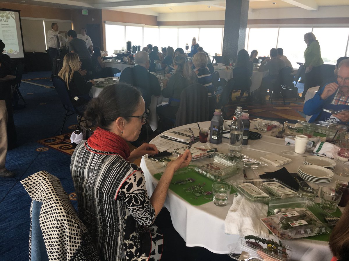 IntFreshProduce's tweet photo. Great time John Freitas & Chef Tony Baker teaching us about micro greens and Buzz Buttons. Thanks #FreshOrigins! #PMAFSC https://t.co/iPQO8LKH8A