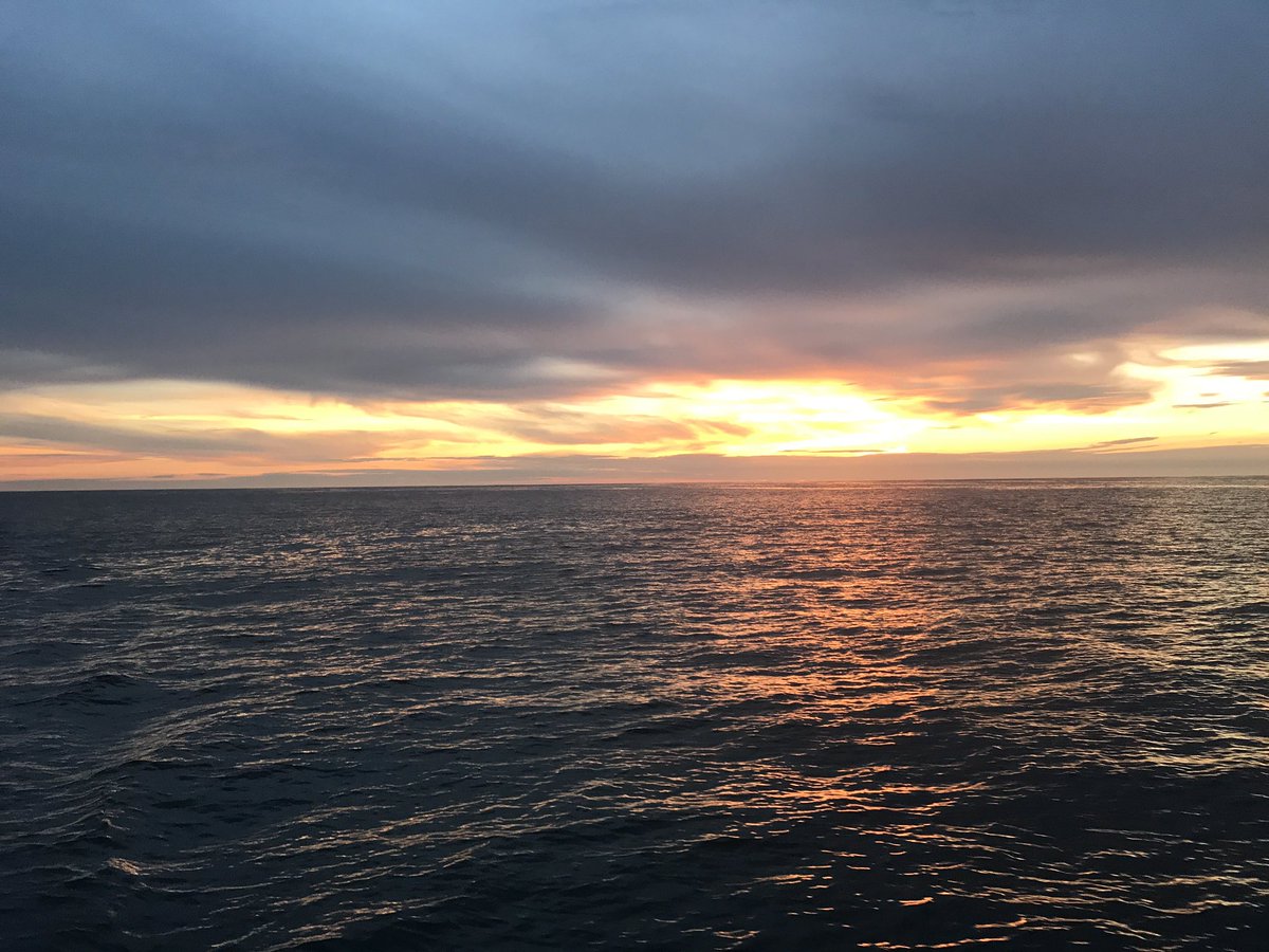 Vron82's tweet photo. Mexico sunset cruise! https://t.co/1enF6QGqmV