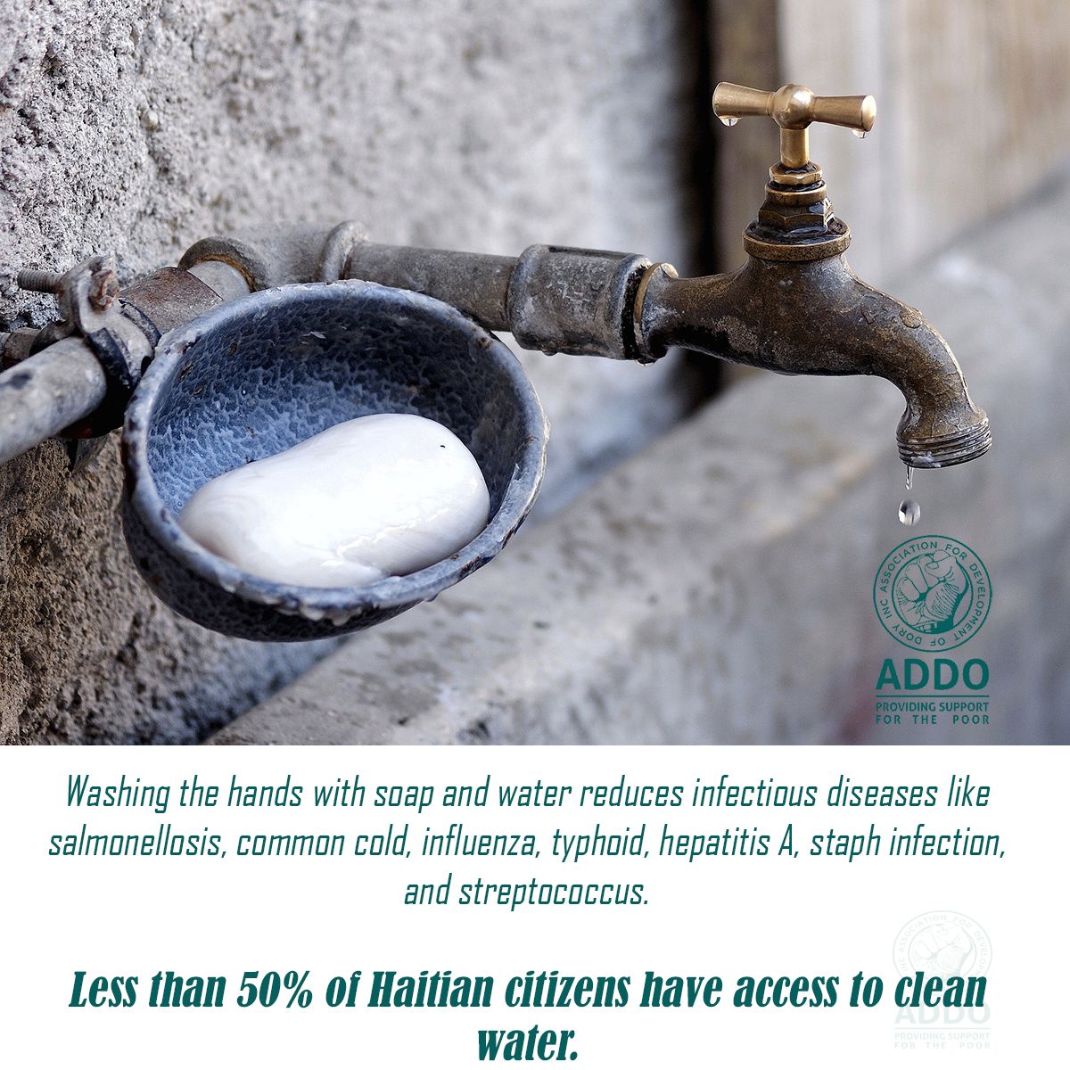 Addodory tweet media