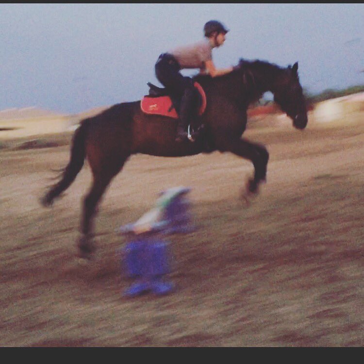lckequestrian's tweet photo. Saw my baby again 💕 and jumped using a dressage saddle #eventerproblems https://t.co/ztrHycKL1S