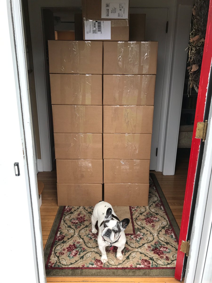 BenjisFarm's tweet photo. Lucy our VP of Operations making sure dogs everywhere get there @BenjisFarm treats!  #dogsoftwitter #benjisfarm #plantbased #Frenchie https://t.co/7YqADTHEEf