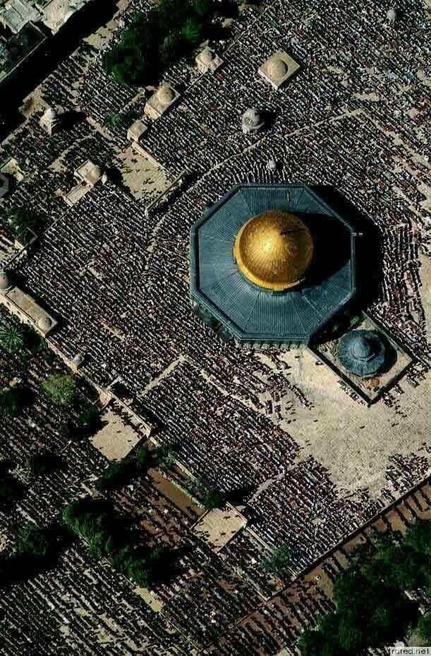 Palestine_UN's tweet photo. The power of peaceful protest and the strength of the #Palestinian people should never be underestimated #Jerusalem #AlAqsa #Peace https://t.co/scN0iOMHl6