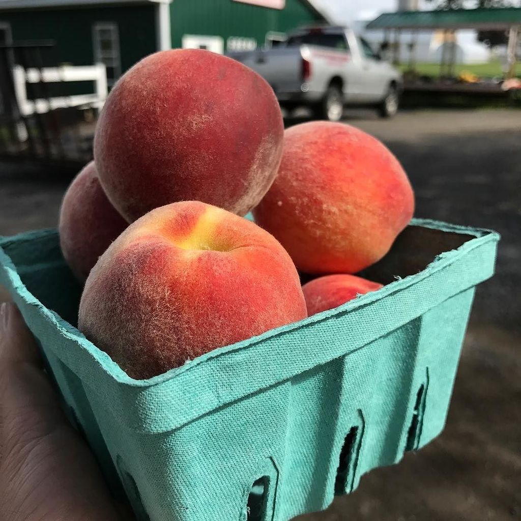 AmyCGross's tweet photo. How you like them peaches??? #freshfruit #flx #roadsidestop #yummmmmm #wwsgrandevent17 https://t.co/QCUv6gKlxH https://t.co/xAR8FcBaBA