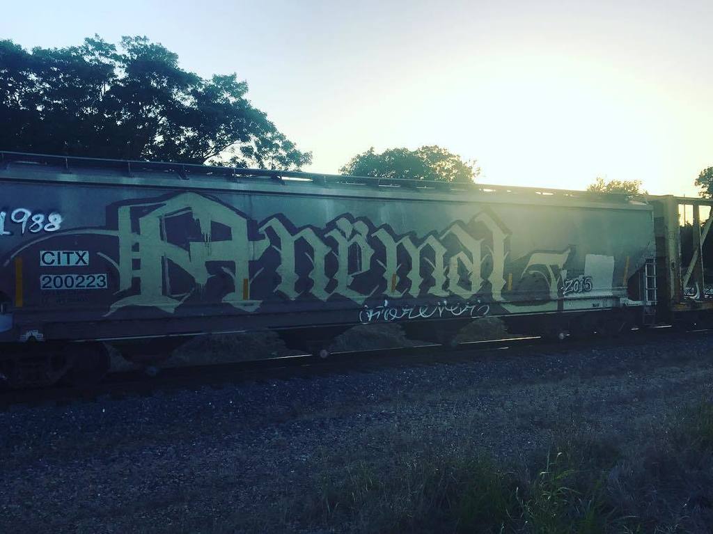 fostepco's tweet photo. nice catch the other day... #44BENCH #texasbench #anemal https://t.co/2VWVbFZPyn https://t.co/jVu27t3olu