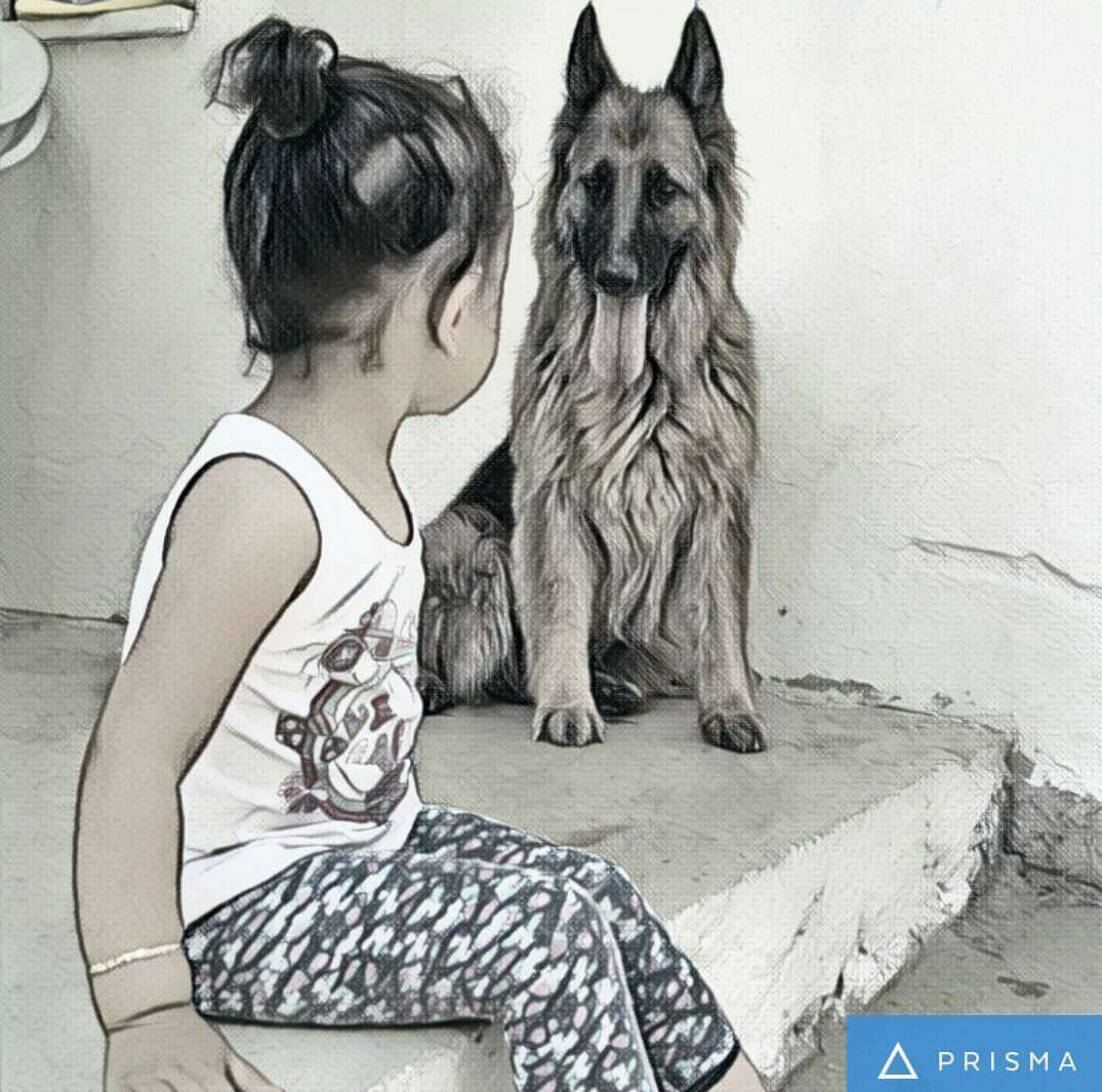 FhNehir's tweet photo. @bilim_adami  https://t.co/iIzb7E38iT