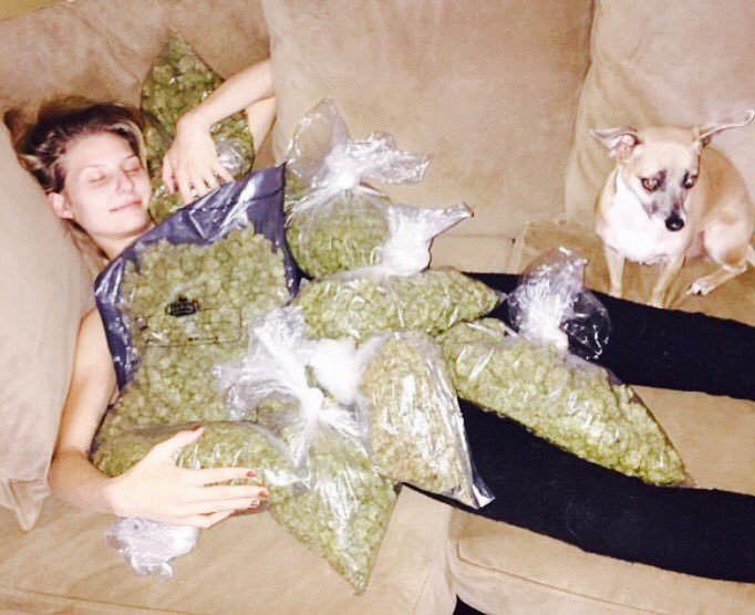 LegalizeGreenMJ's tweet photo. What are u doing tonight ? https://t.co/pSAsK4x9GN