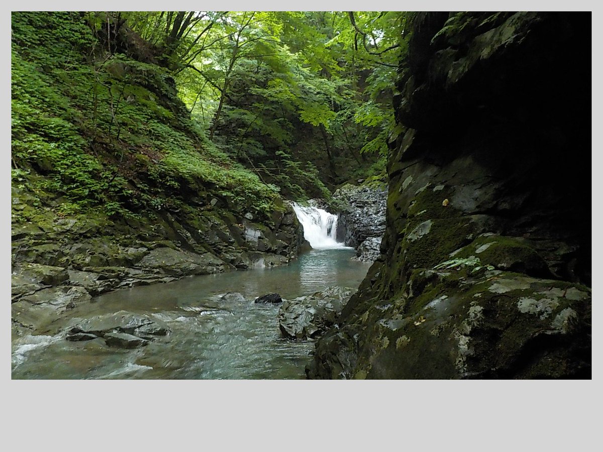tumsat_tsuriken's tweet photo. 信じて送り出したフライ大好きおじさんが渓流ルアーにドハマリしてツイッターにアップしてくるなんて...
#トラウティンマーキスナノ4102ULKR
#RevoALCBF7 https://t.co/WAGBRR2Xk2