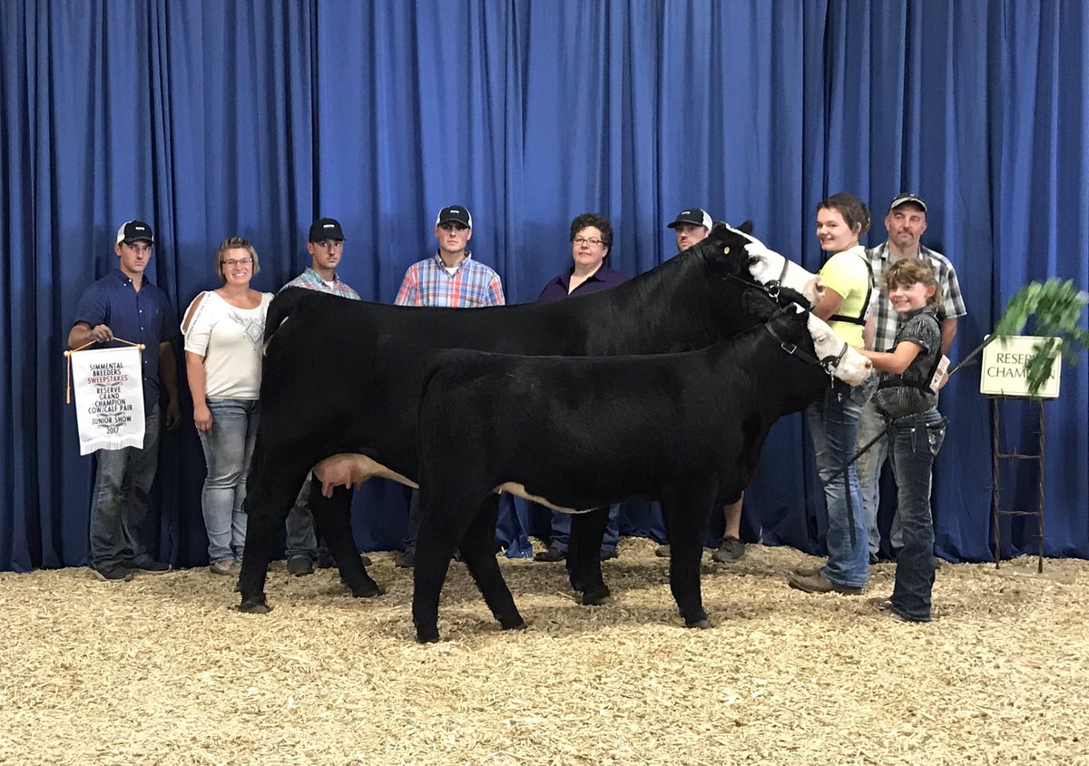 knapper_cattle's tweet photo. Congrats Olivia and Glennys McGurk Res Grand Champion Cow-Calf Pair at Simmental Breeders Sweepstakes! https://t.co/WVYisrgGlY