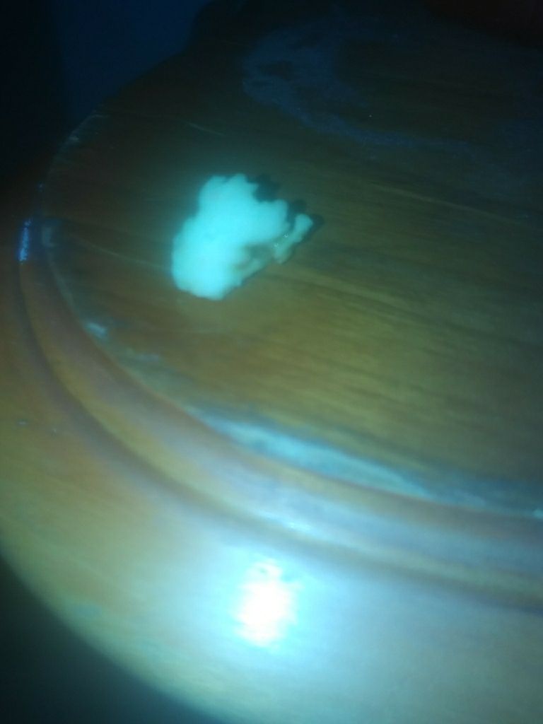 shiversc51's tweet photo. This is what i found my bowl of fruity pebbles this morning i am sick to my stomach and need answers https://t.co/cas56BT5zY