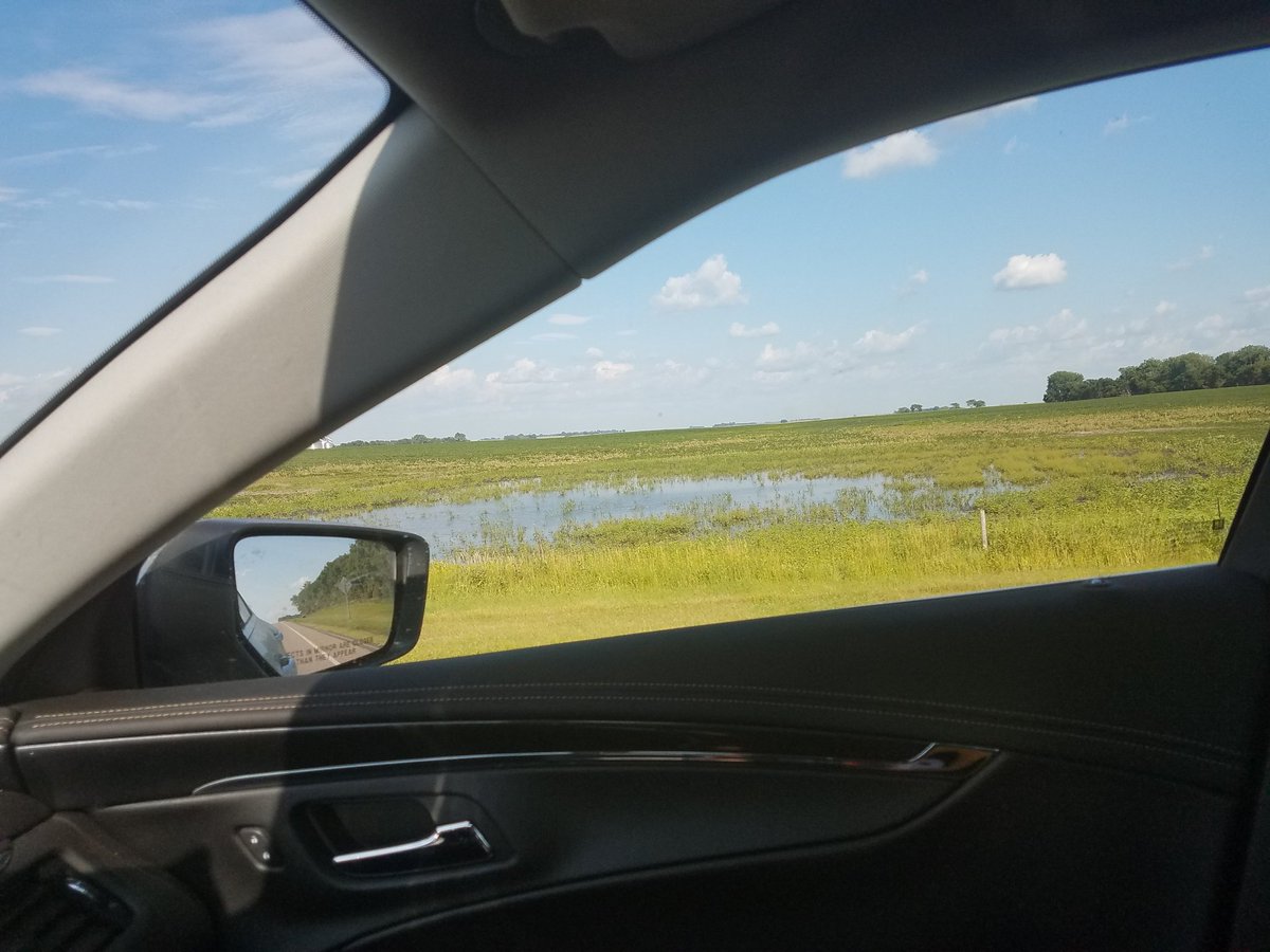 NDCommodities's tweet image. North of De Smet...crops look great, but surprised about the amount of acres planted last year that didn't get planted this year.
#wetspring
