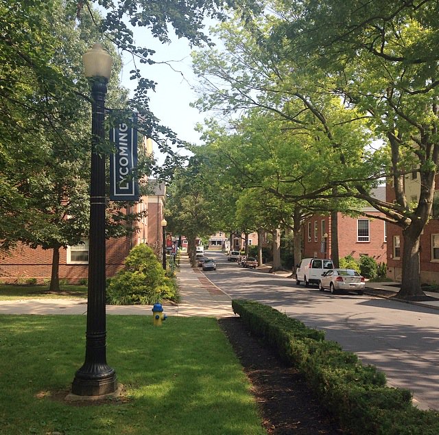 LycomingCollege's tweet photo. Just one month until classes begin! Are you ready Warriors? #WarriorBound #LYCO2018 #LYCO2019 #LYCO2020 #LYCO2021 https://t.co/HWXIJm9IQZ