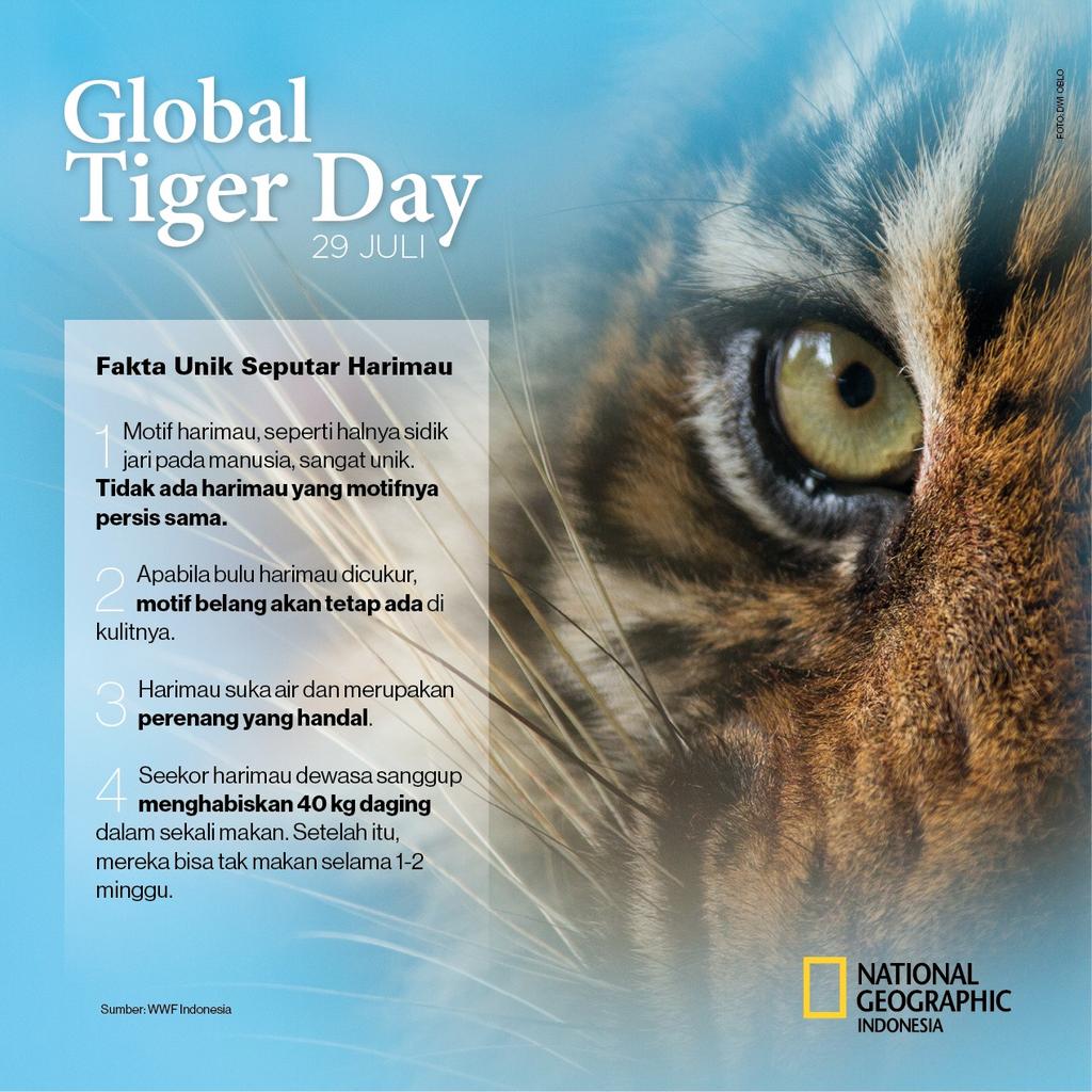 Nat Geo Indonesia tweet media