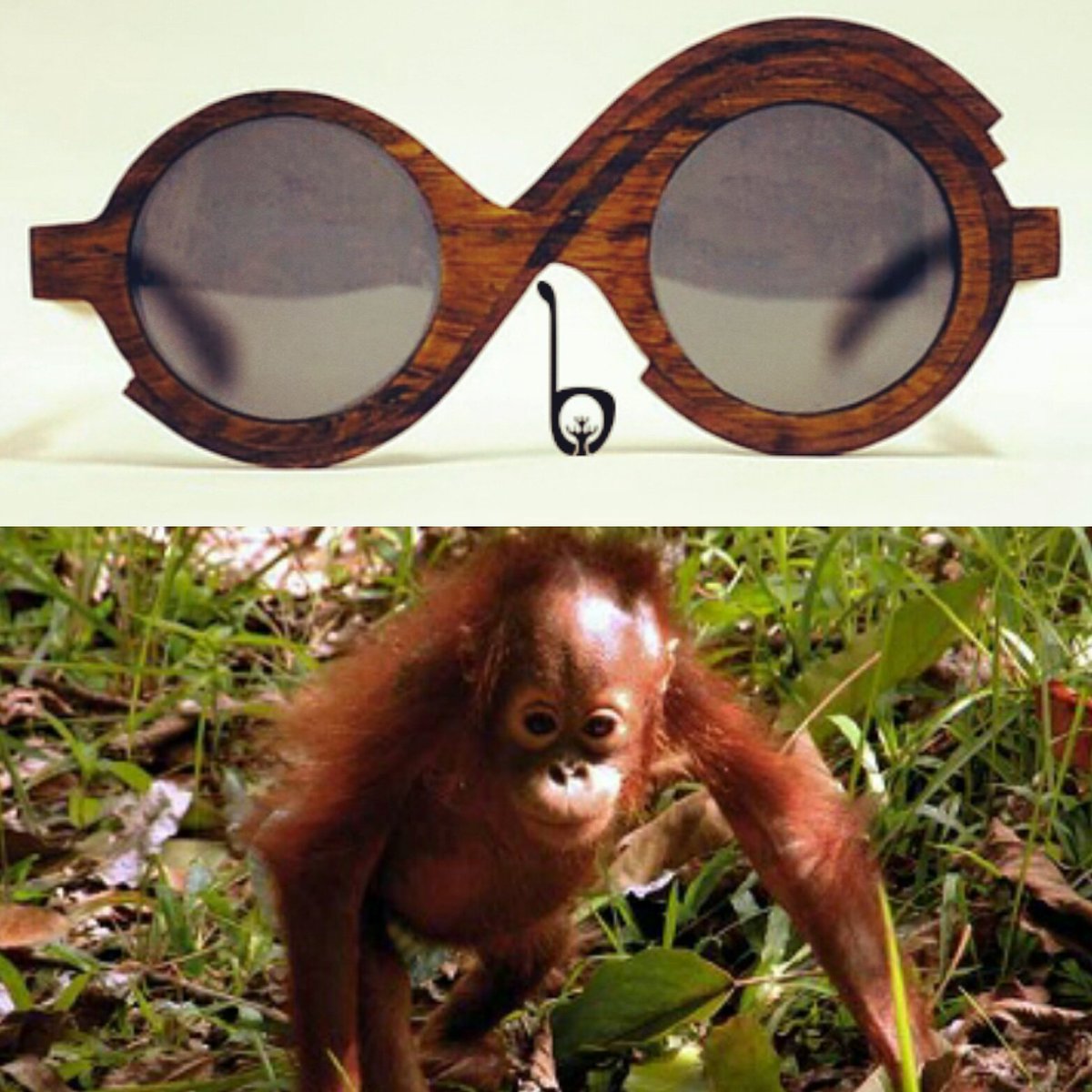 Season Sale: Meet Hope Ombak! Click: borneoeyewear.com/Collection #wearindonesia #wearyourroots #wearborneo #fundraising #CSR #saveorangutans