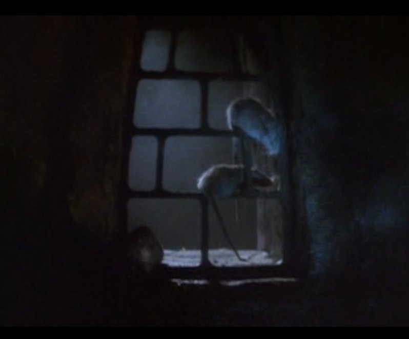 GConservancy's tweet photo. there is a rare subspecies of Tatooine Sand-Rat living only underneath Jabba's Palace. They MUST be protected. https://t.co/1BqVdeTKqx