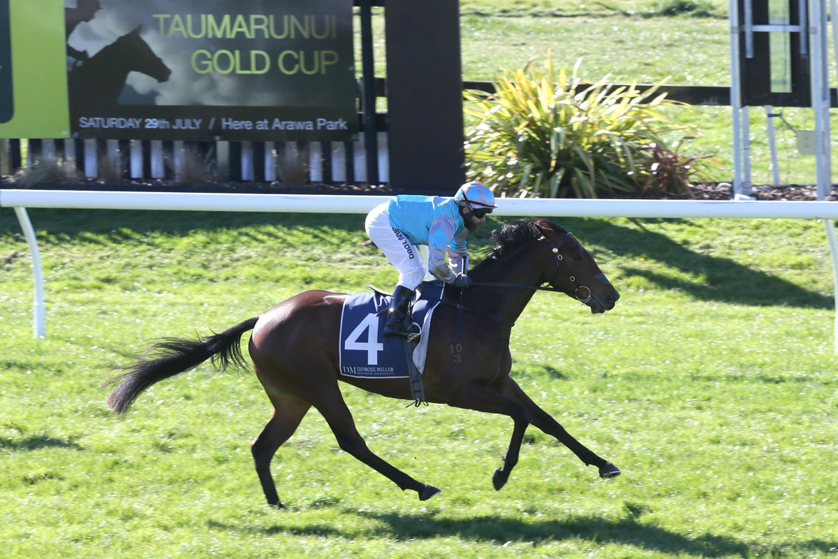 nzracingnews's tweet photo. #HelloMLady was in a class of her own scoring another smart victory at Rotorua on Saturday https://t.co/0kRrOzwq4s https://t.co/fEWPu7Ydjd