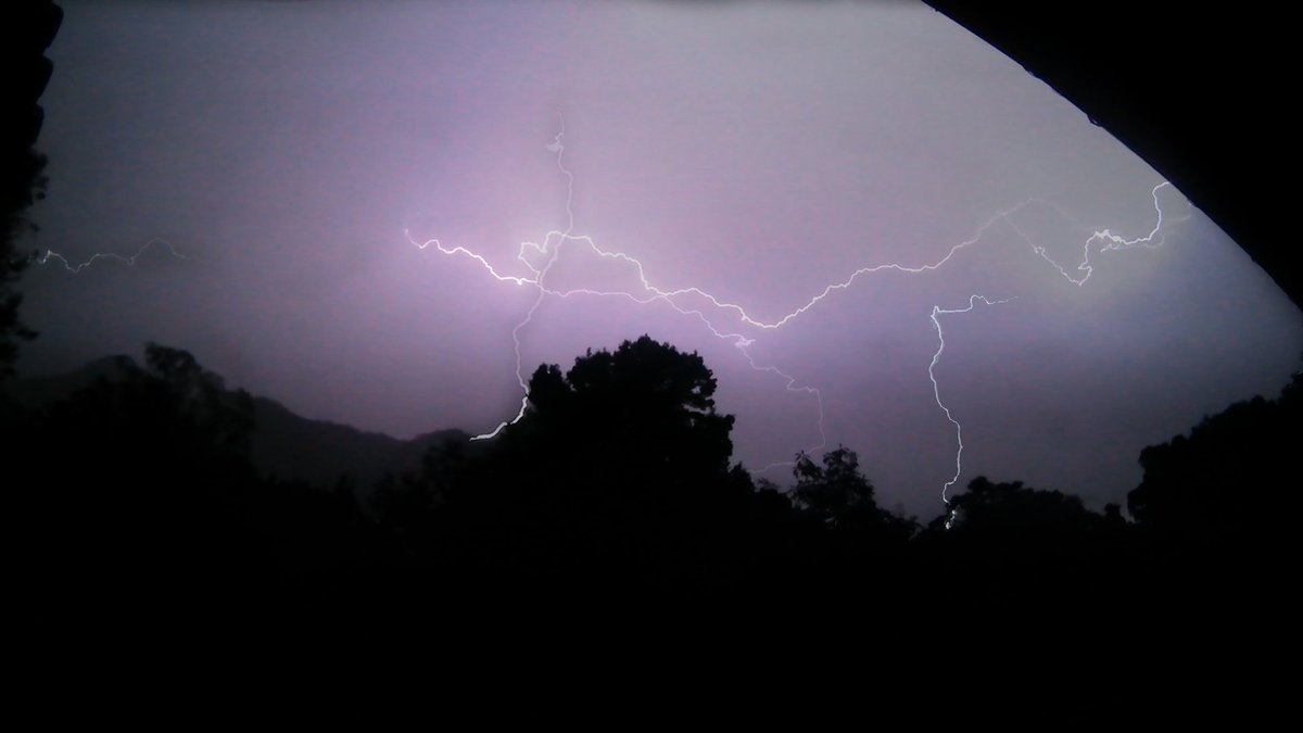 Latigo Films tweet media