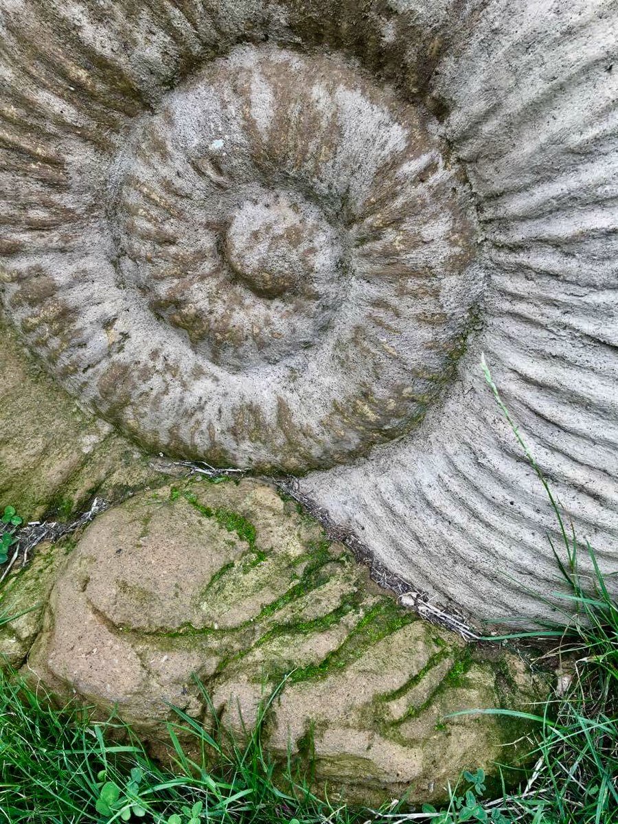 ArtecologyDept's tweet photo. Cast #concrete & hand sculpted #papercrete providing a foothold for moss colonisation. Section of #ammonite #bench, #Sandown #IsleofWight https://t.co/wPZyApkOy2