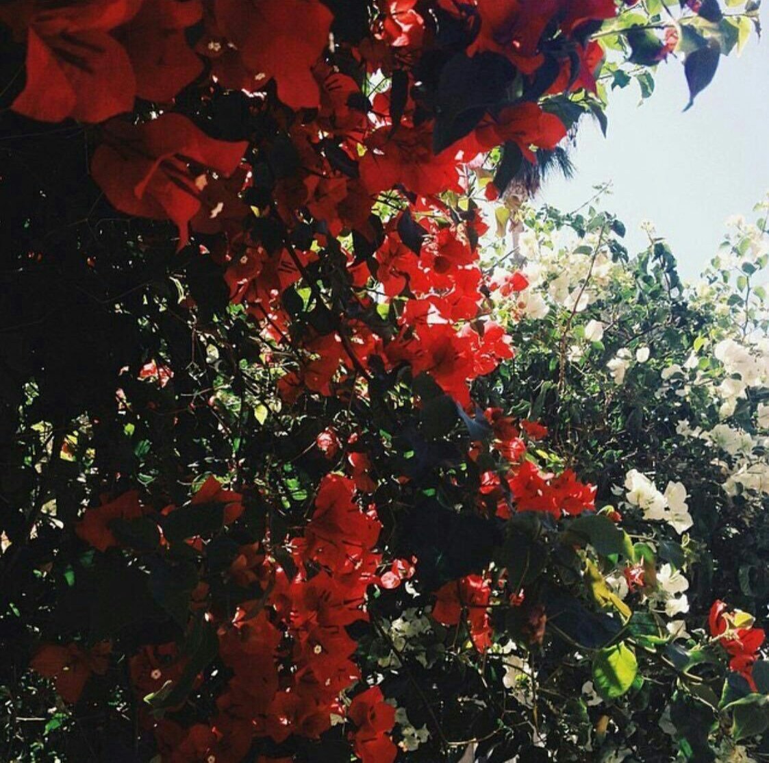 حُب زُليخة ليُوسف أوصلها الى الحُب
الأسمى (حبُ الله) فليكن اذاً يُوسفكِ
وسيلة لتعرفي الله من خلاله إختاري
حباً لا يبعدكِ عن من هوأحق بالحُب