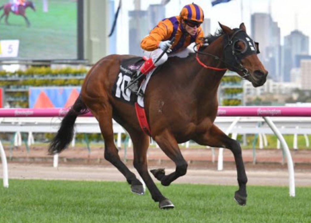 welovethepunt's tweet photo. Shane Templeton has your Caulfield card completely sorted. 

Full selections and quaddie numbers.

TIPS 👉 https://t.co/pe4Avz4w6D https://t.co/DfSPKKOAHe