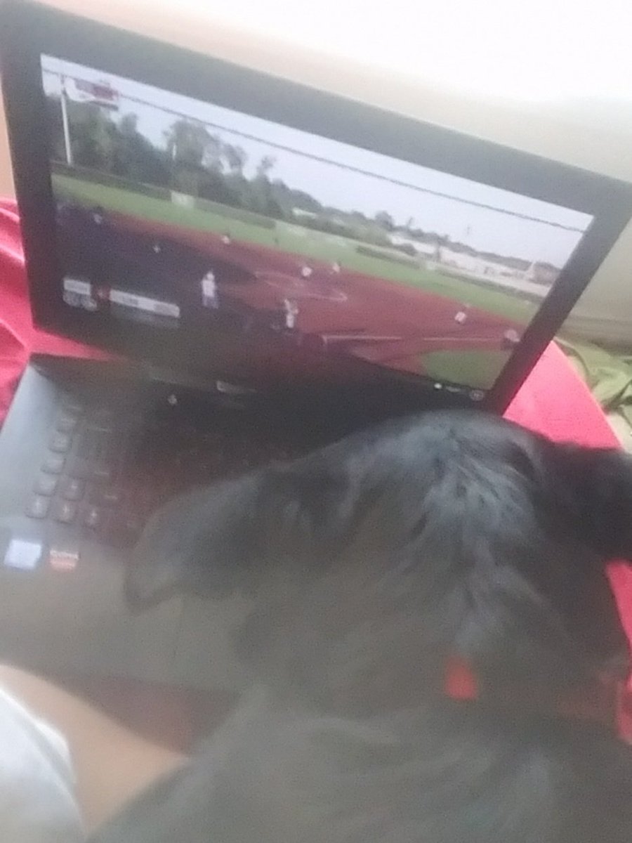 sunacat's tweet image. Now 9-0 off a #2runHR from Aguilar! Benjen (my dog) has decided to join us in watching this evening, he is cheering for the Dawgs! 🐶🐶