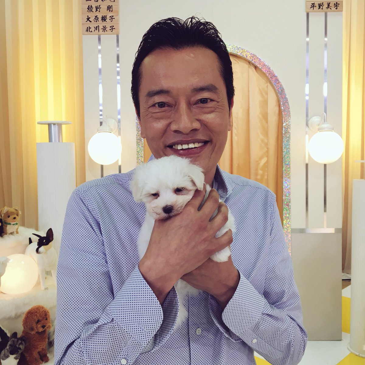 公式 愛してたって 秘密はある Auf Twitter 出演情報 本日 19 00 19 56 天才 志村どうぶつ園 21 00 21 54 嵐にしやがれ 遠藤憲一さんが出演します お見逃しなく 愛ある 遠藤憲一 志村どうぶつ園 嵐にしやがれ 公式 愛してたって 秘密はある Auf Twitter 出演情報 本日 19 00 19 56 天才 志村どうぶつ園 21 00 21 54 嵐にしやがれ 遠藤憲一さんが出演します お見逃しなく 愛ある 遠藤憲一 志村どうぶつ園 嵐にしやがれ