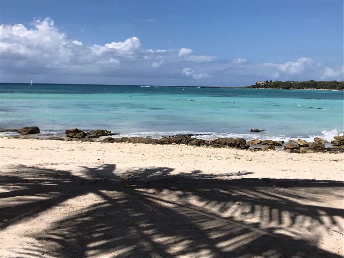 analy_michelle's tweet photo. #MXenBocaDeTodos Riviera Maya, Quintana Roo https://t.co/4eMqRb6Hfg