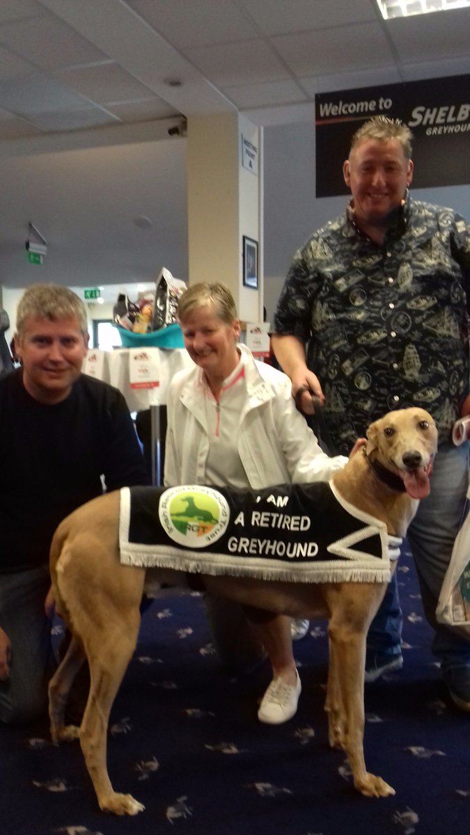 Shelbourne Park Greyhound Stadium tweet media