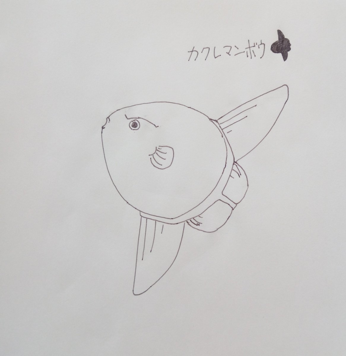 カクレマンボウ Twitter Search