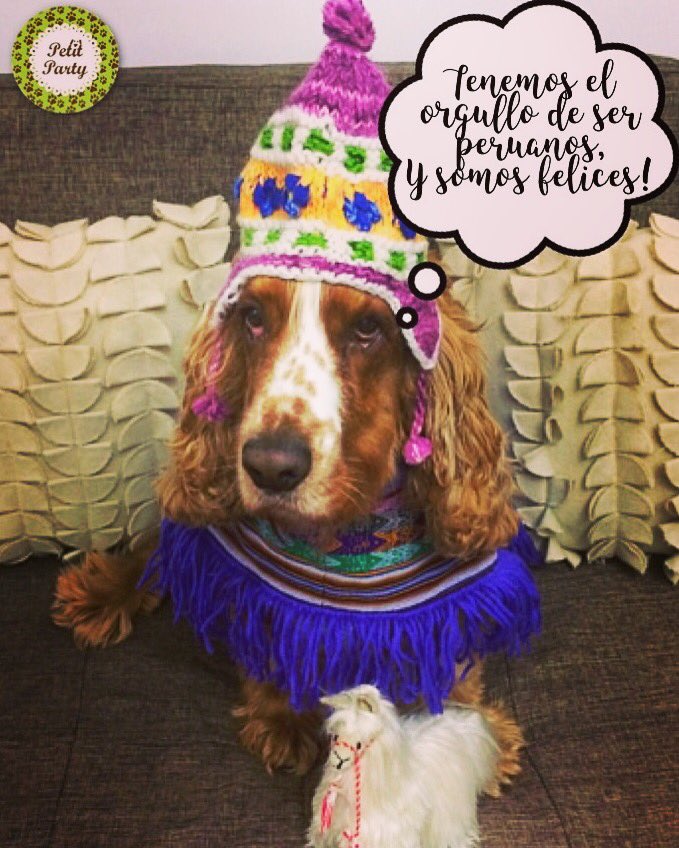 petitpartyperu's tweet photo. #Feliz28 #SomosLibres #FelizDíaPerú #Feliz28 #28Julio #FiestaDeLaPatria #PerúFesteja #TeAmoPerú #Peruanos #FelicesFiestasPatrias https://t.co/4DX6WhDbDw