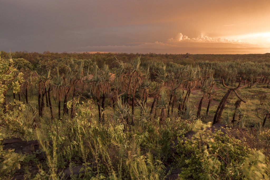 bjg_imagery's tweet photo. Wet season sunset at Mercedes Cove #WetSeason #MercedesCove #JustanotherdayinWA https://t.co/41IutztIce