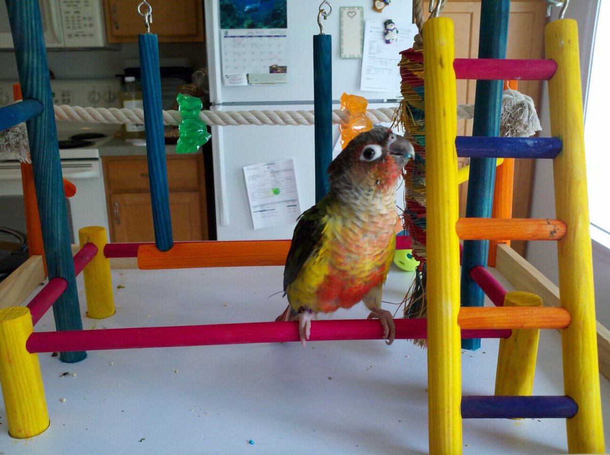 #FlashbackFriday exploring my new playgym as a baby! 7/28/2012