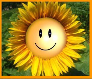 FeelingIrie1's tweet photo. Happy hair day to all ~ 🌼 https://t.co/l3S5KFTl6P