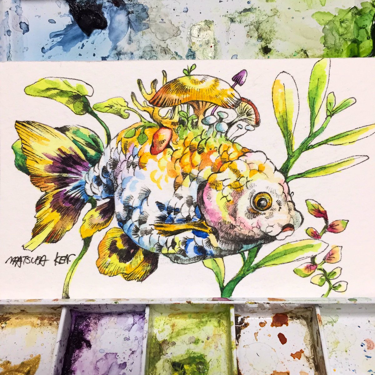 これを見た人は赤・青・黄の画像一枚ずつ貼れ きんぎょかわいいねぇ