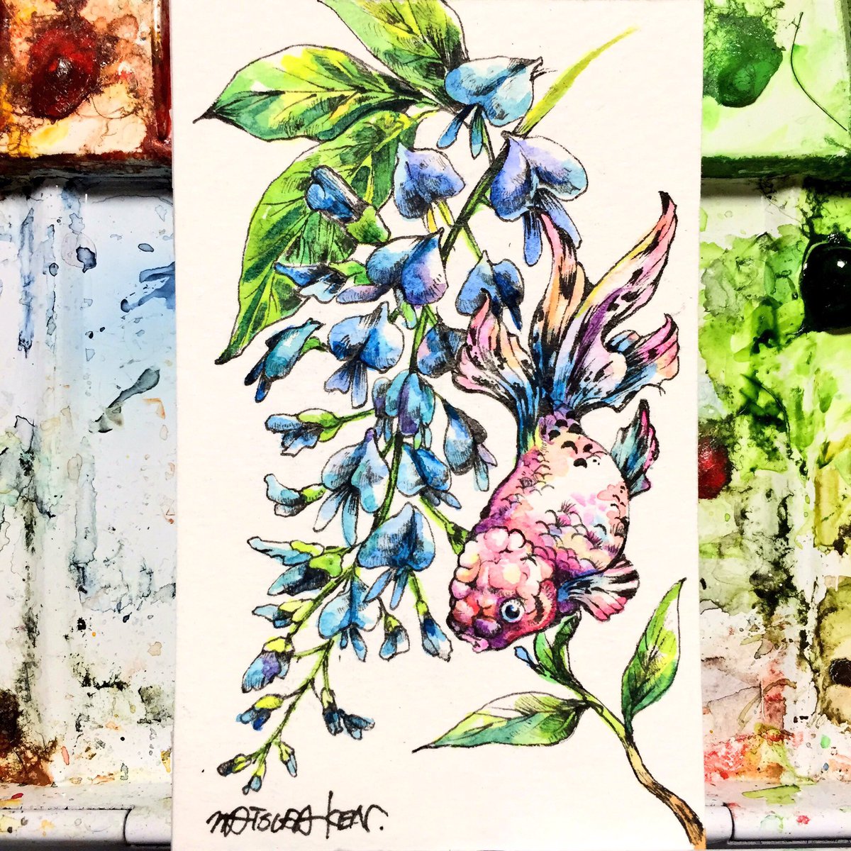 これを見た人は赤・青・黄の画像一枚ずつ貼れ きんぎょかわいいねぇ