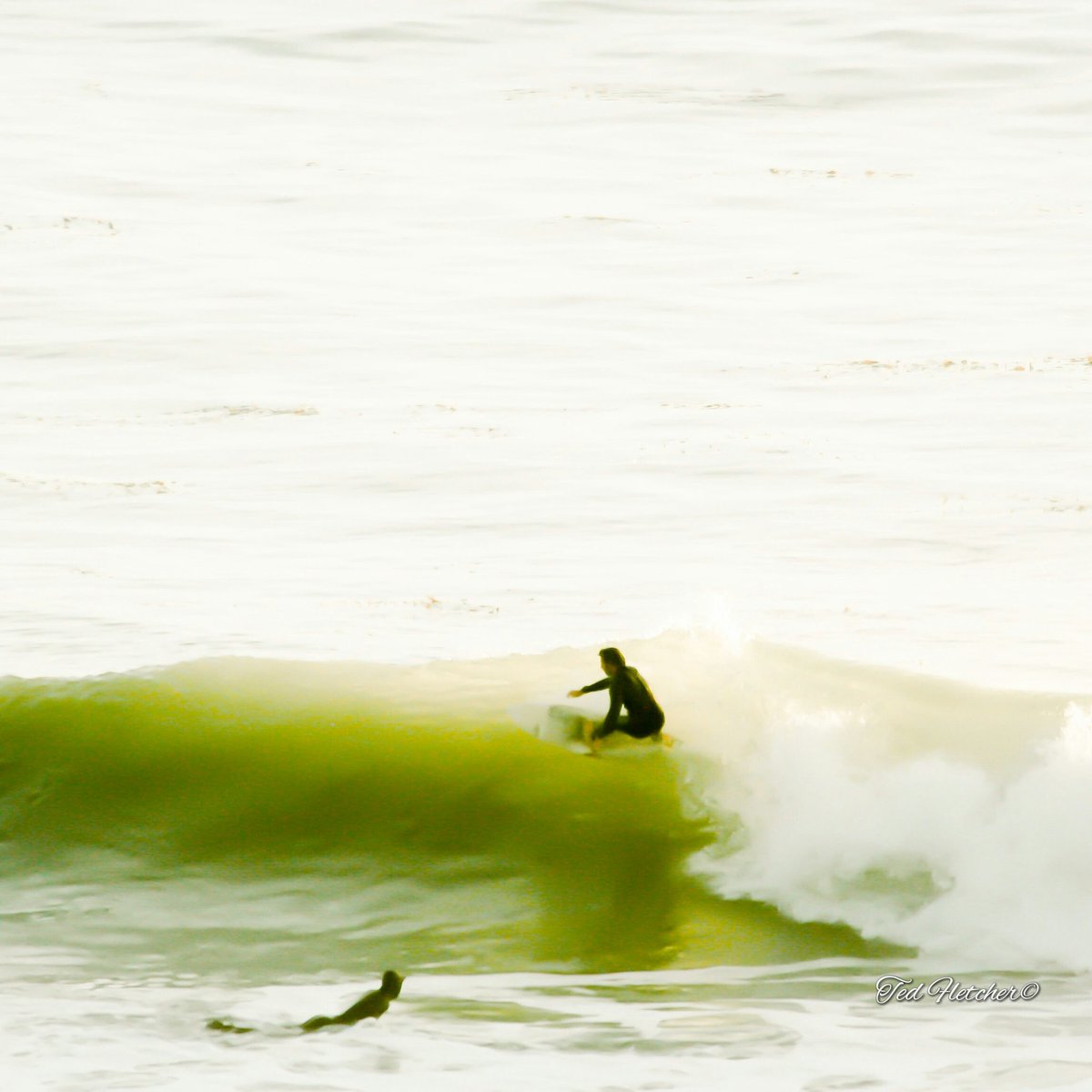 tedfletcher's tweet photo. A little flash back Friday to some green glass in @CityofPismo and an unknown #surfer #deepsurfmagazine #surfermagazine #surfing #surf #805 https://t.co/zxiWD3DysO