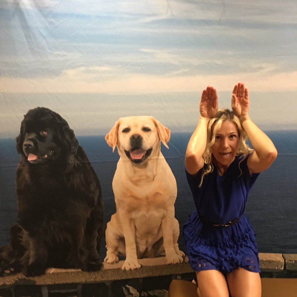AngellaGoran's tweet photo. #HiDSJ Asking the age old ? which came 1st the Province or the Dog, u can guess my answer #CanSPEP2017 of course the DOG I ❤️ #Canada #Nfld https://t.co/ysyCt3VlCx