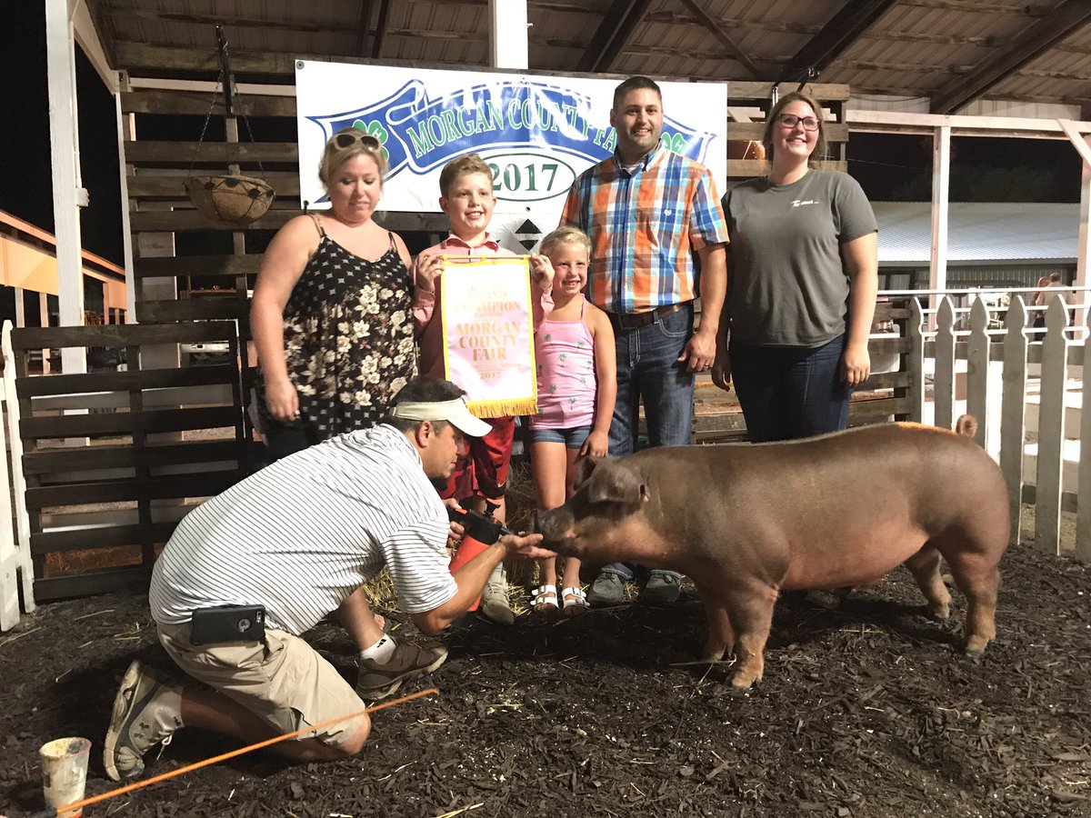 JC_Showpig's tweet photo. Congrats to Will Morris on his Reserve Grand Champion Barrow at the Morgan County 4-H Fair Open Swine Show! @quadrfarms @angelamorris315 https://t.co/A7cTgZuUdA