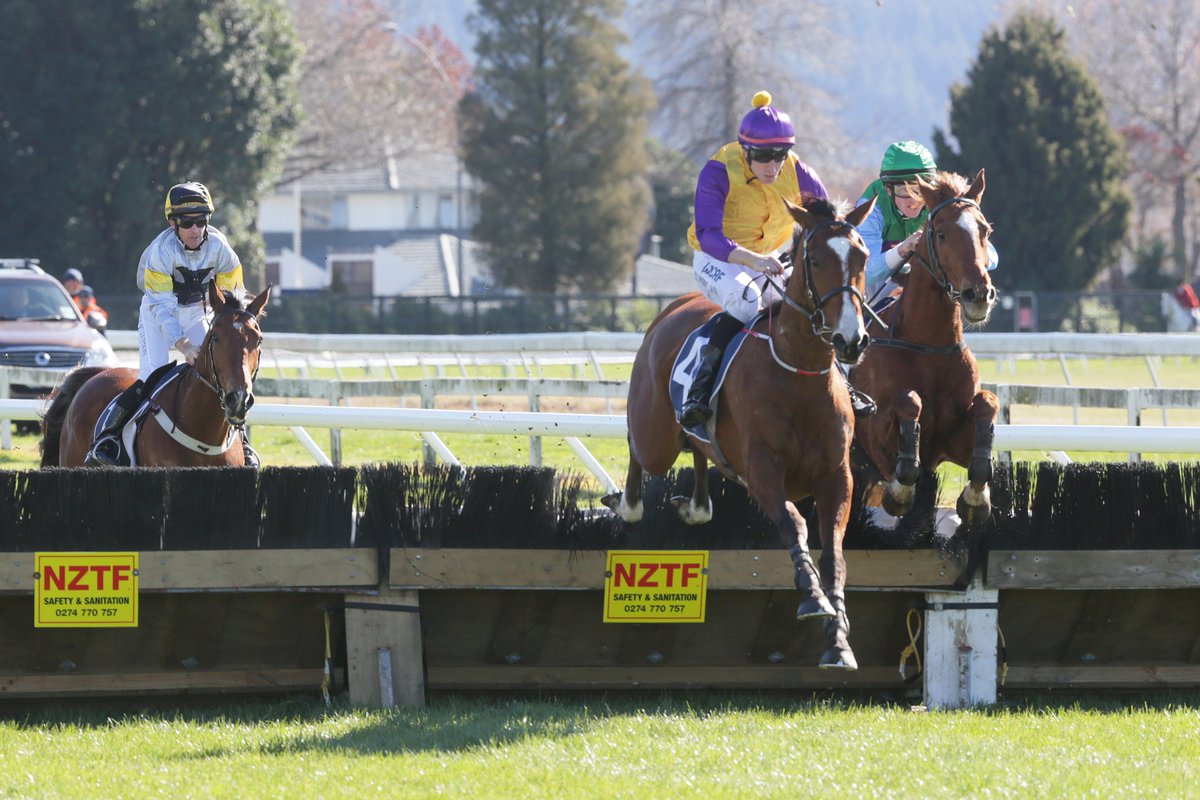 nzracingnews's tweet image. #MonarchChimes is proving to be no slouch over fences posting his 2nd win in a row over hurdles at Rotorua racingnews.co.nz/blog/post/1944…