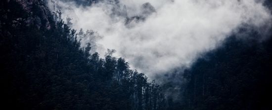 victoriavel5's tweet image. Have you heard about #Fog_computing? It's a concept yet, but it may replace #Cloud_computing in future. Learn more: buff.ly/2w5iBzl