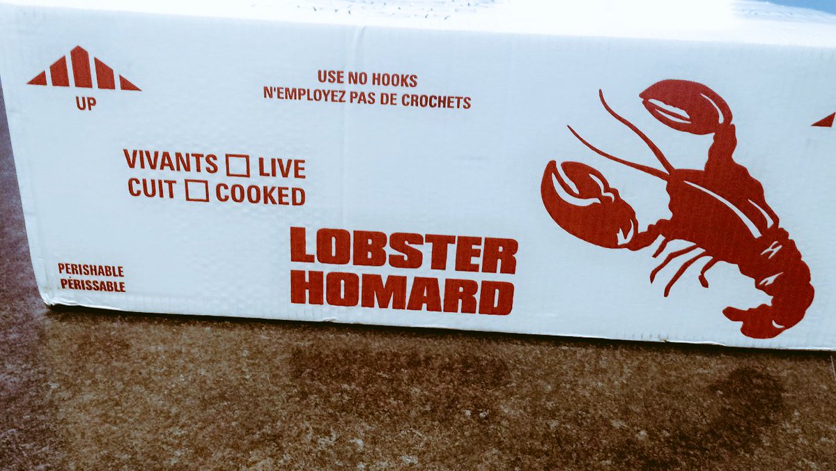 nxkimb's tweet photo. Early Birthday Giftโค๏ธ 10 Pounds of Fresh PEI LOBSTERS love my Momma Bear ๐ป #grateful #shesthebest #missingpei https://t.co/wX9rX3OzYL